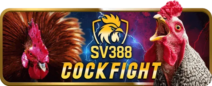Chương trình VIP BEM88