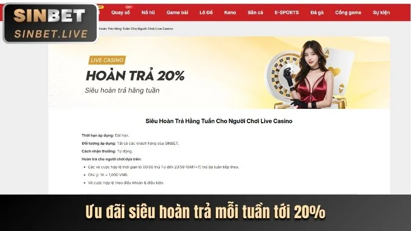 Quy trình đặt cược tại BEM88